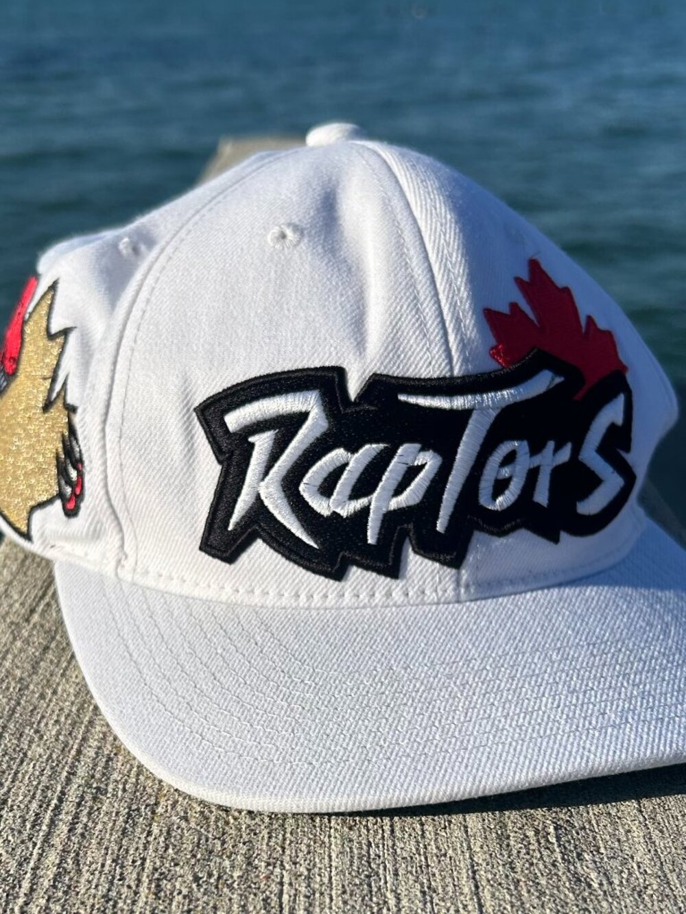 Mitchell & Ness Toronto Raptors Snapback Hat Alternate Retro Logo